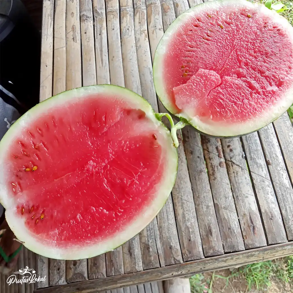 watermelon 01